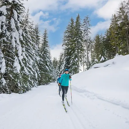 Luxescape-chalet Almzeit-wandern-traumaussicht-sauna-naturschutzgebiet 公寓